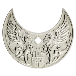 Ultra Pro Waterdeep Coins For Dungeons & Dragons -Card Game Accessories Shop 18995 Poly WaterdeepCoin D D platmoonback