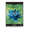 Ultra Pro Black Lotus Wall Scroll For Magic: The Gathering -Card Game Accessories Shop 86769
