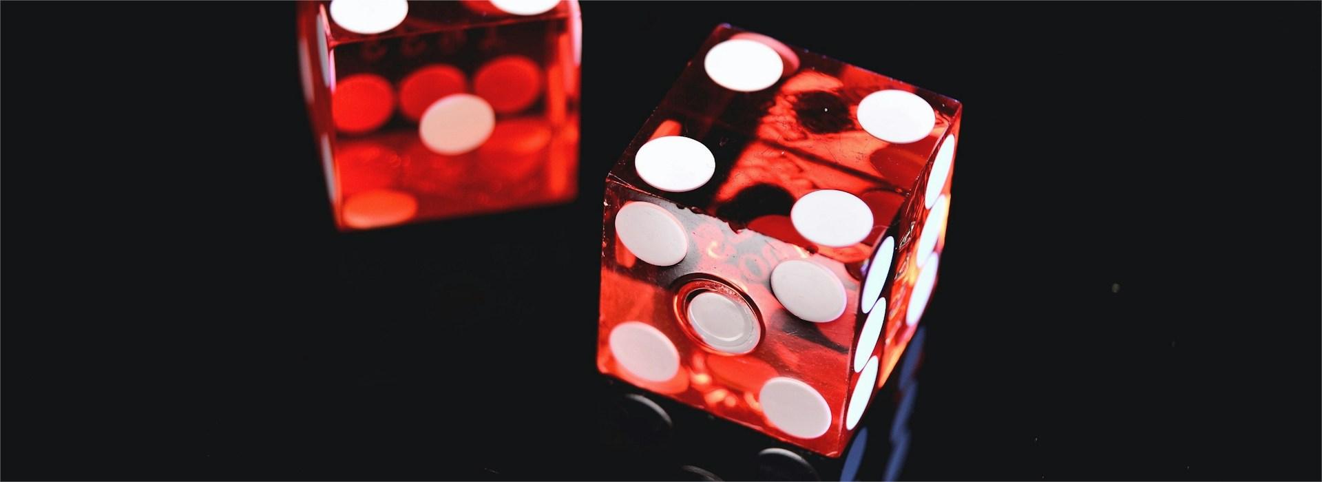 Card Game Accessories Shop -Card Game Accessories Shop jonathan petersson a6N685qLsHQ unsplash